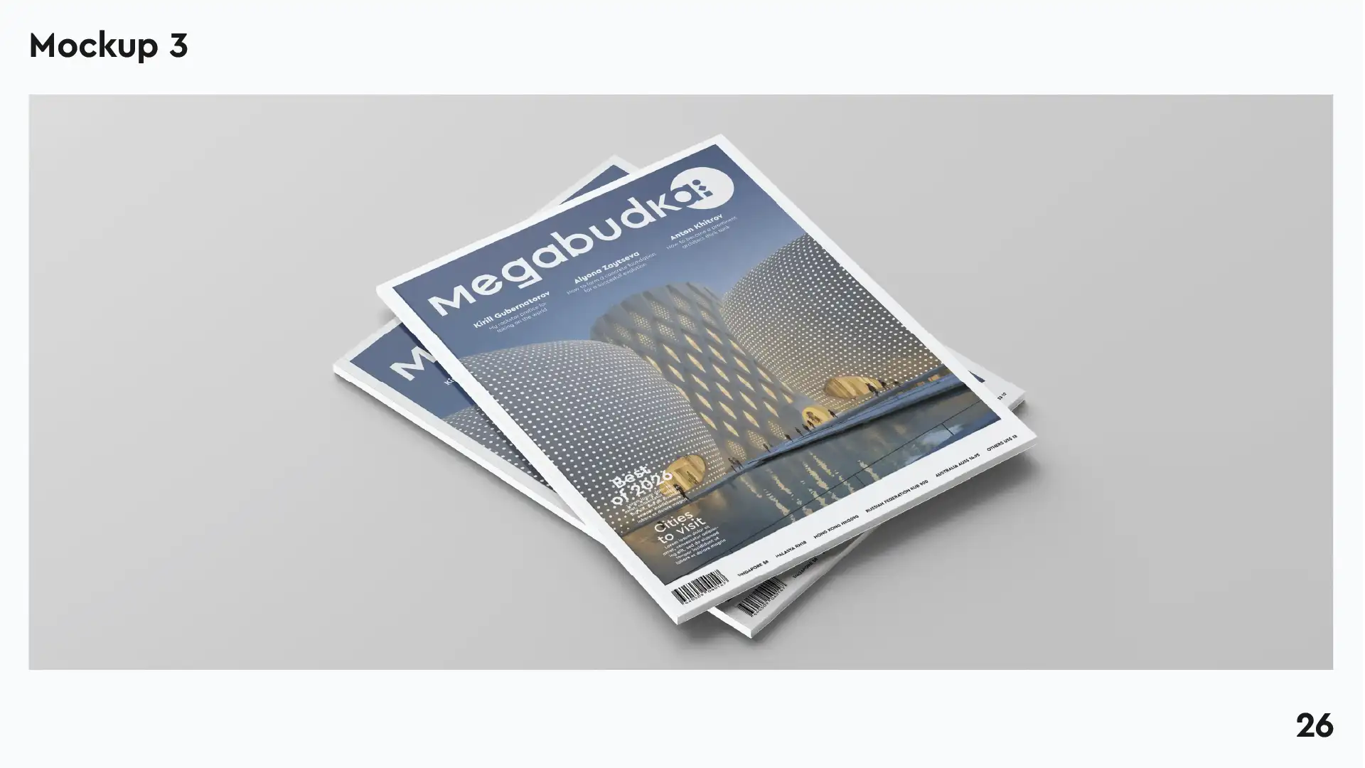 The Megabudka project artwork