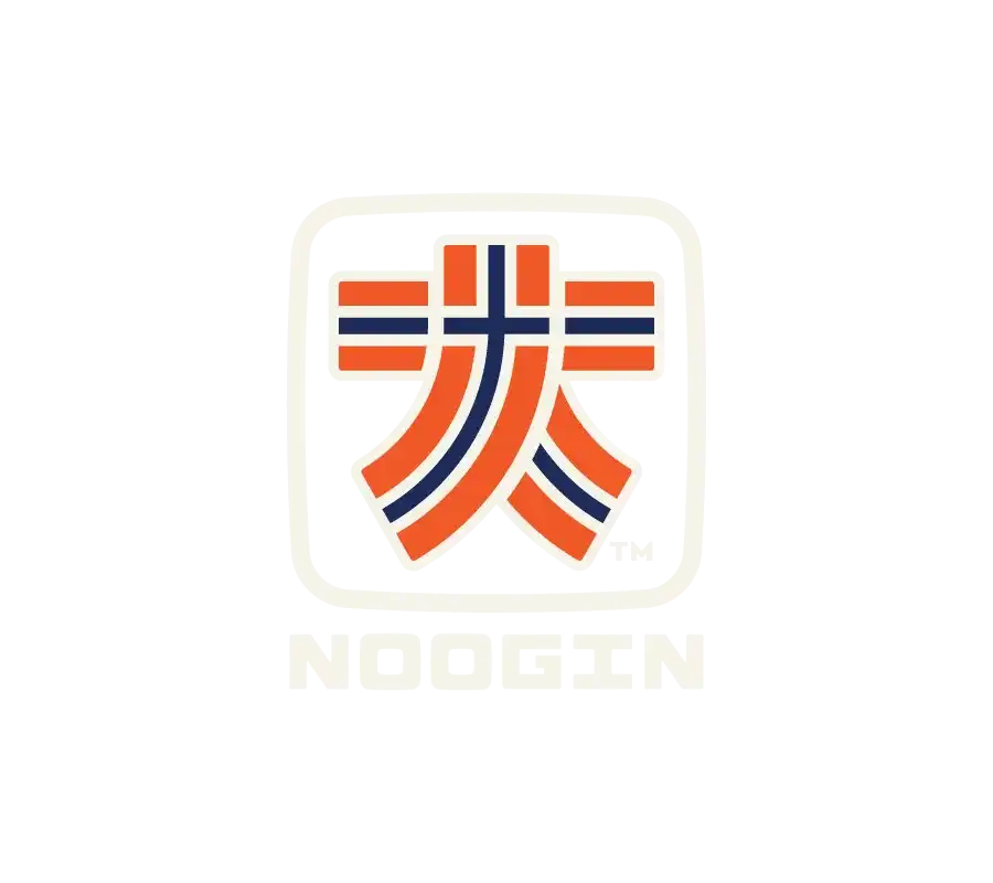 The Noogin Brand logo and branding presentation